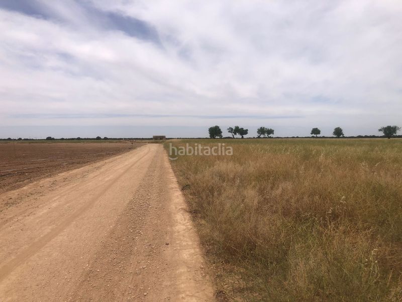 Foto aa724bcc-b919-4f6c-a49a-27411b399803. Terreno residenziale in Pedanías - Extrarradio Albacete