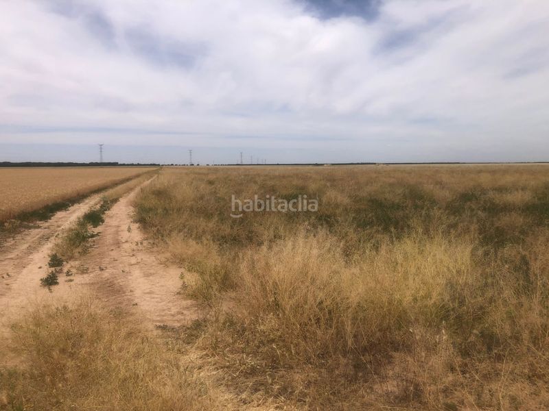 Foto bbd6a93e-41b1-4382-a0d8-7889ab215d31. Terreno residenziale in Pedanías - Extrarradio Albacete