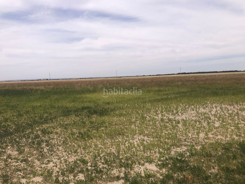 Foto edd2ed3a-fdcc-4026-8982-c5838190a248. Terreno residenziale in Pedanías - Extrarradio Albacete