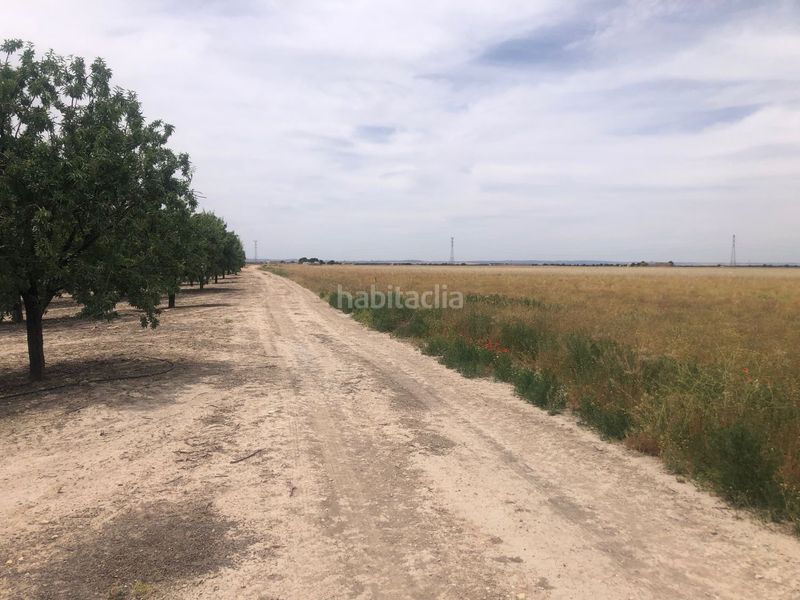 Foto fa1b9eb7-7576-4229-b0cb-83c6452b3373. Terreno residenziale in Pedanías - Extrarradio Albacete