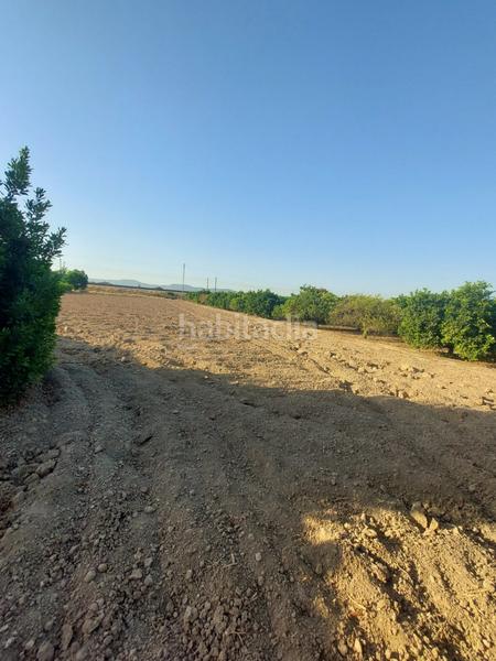 Foto 0355503c-86cf-4d6a-a977-37977e495216. Masía en Desamparados - Hurchillo - Torremendo Orihuela