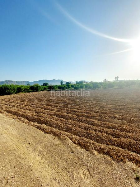 Foto 83540832-8740-4a2f-902d-dc0c4038c0b8. Masía en Desamparados - Hurchillo - Torremendo Orihuela