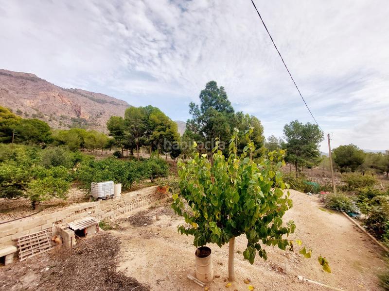 Foto cd454c57-a3dc-48b2-98da-ab0e2a4ed18d. Casale con piscina in Montepinar - La Aparecida - Raiguero Orihuela