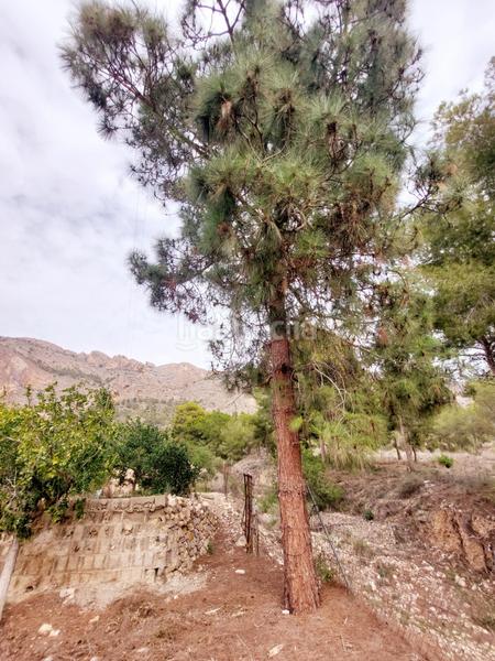 Foto db7cb7bc-321f-44d0-8f42-dea4468897df. Casale con piscina in Montepinar - La Aparecida - Raiguero Orihuela