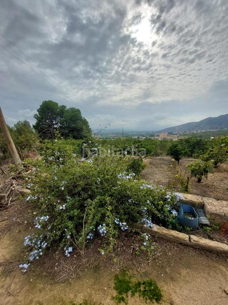 Foto 0904926e-875a-43da-b43b-bbea60cbc729. Masía en Montepinar - La Aparecida - Raiguero Orihuela