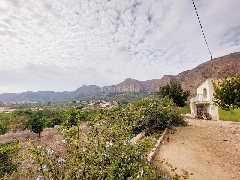 Foto 70d08481-b8e6-4e0f-a5fc-6d4d9d386c38. Masía en Montepinar - La Aparecida - Raiguero Orihuela