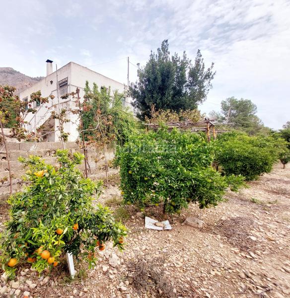 Foto 77463d3c-c7a8-44b5-b3d3-92bb3fff3fe5. Masía en Montepinar - La Aparecida - Raiguero Orihuela