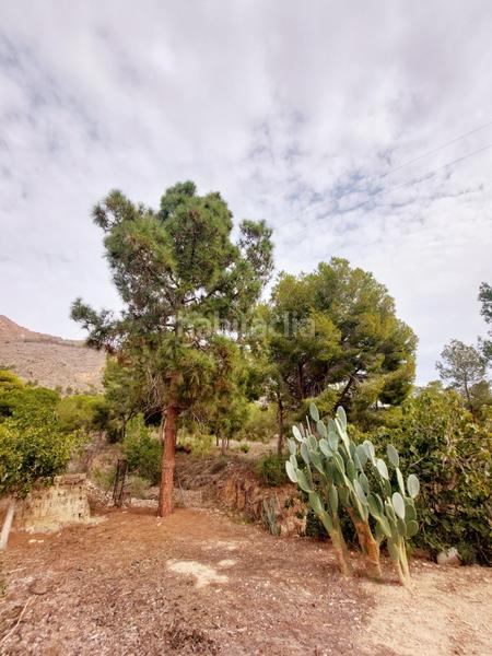 Foto a4d14cd4-9bba-4181-8bf2-ca34b01dbecf. Masía en Montepinar - La Aparecida - Raiguero Orihuela