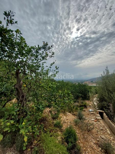 Foto ccfaecdc-e72e-47cd-b000-c04e16f46529. Masía en Montepinar - La Aparecida - Raiguero Orihuela