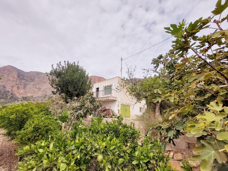 Foto db26028f-41cf-419b-9ad5-8451e6eb9712. Masía en Montepinar - La Aparecida - Raiguero Orihuela