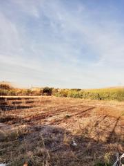 Finca rústica a Albatalia