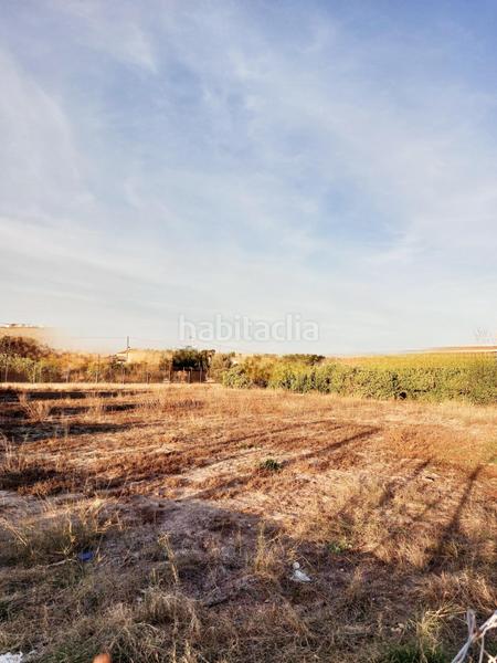 Foto 5cbc6409-b379-4b59-8c4b-c510b4ed439c. Finca rústica en Albatalia Murcia