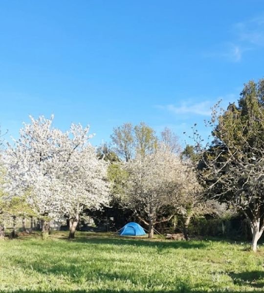 Foto ebfa96d4-c160-4f1c-a34f-39e810e6598f. Finca rústica a Adina - Portonovo Sanxenxo