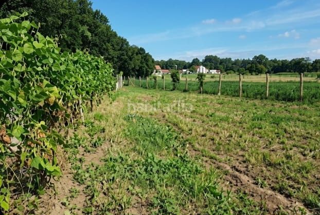 Foto f6efef67-e6af-4ae4-93c8-af58c5b1710b. Finca rústica a Adina - Portonovo Sanxenxo