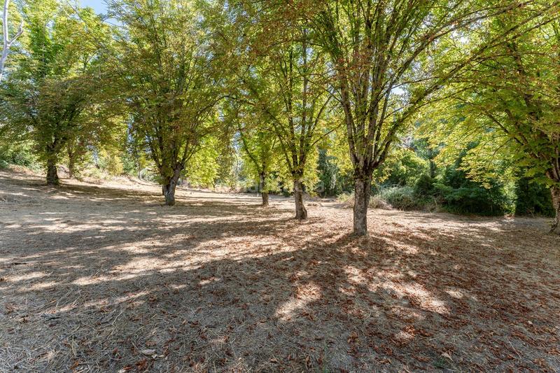 Foto 485507cf-9ee0-4200-976d-c2323b096bd2. Chalet mit heizung parking pool in Rute