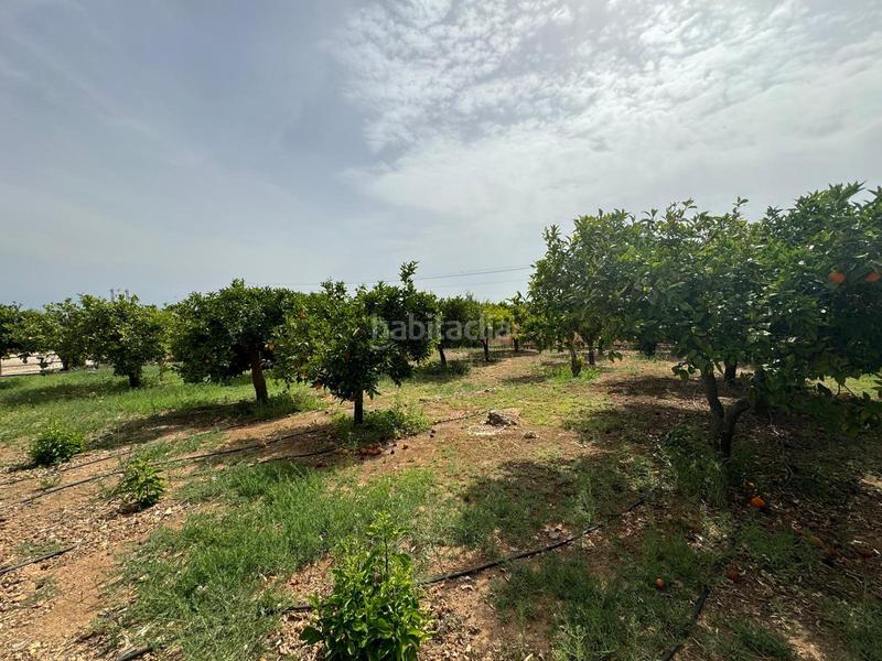 Foto 484ee6c9-64d7-4494-8e74-a306fd7b392a. Xalet a calle taralpe 94 a Centro Alhaurín de la Torre