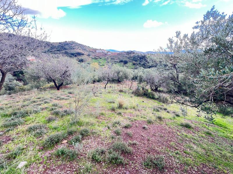 Foto 9d26c725-b3f1-4932-8c1a-bd88bf35bbd7. Casa a Riogordo