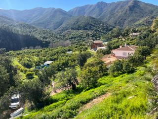 Masia a Polígono 15 paraje 164 fuente 46. Finca aguacates con casa y piscina