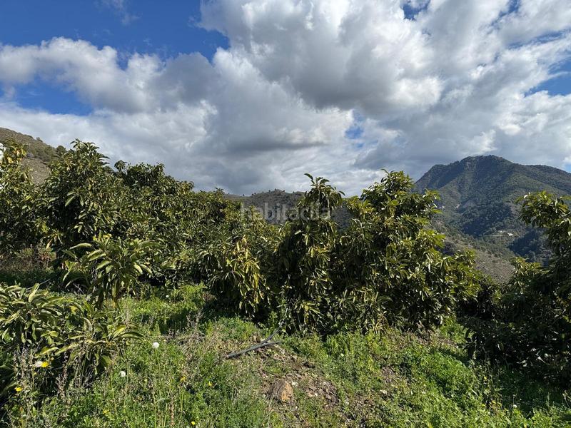 Foto 4cf99b57-1270-4c05-81cf-96e59a138a92. Finca rústica finca en Cómpeta