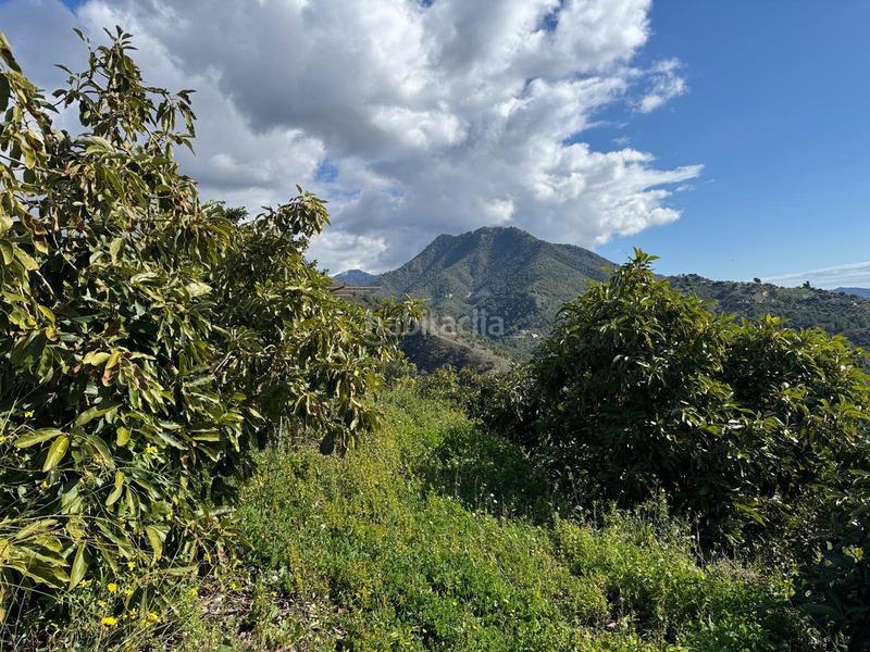 Foto 4e4beeb3-559b-4cda-8490-0a34a489dfed. Finca rústica finca en Cómpeta