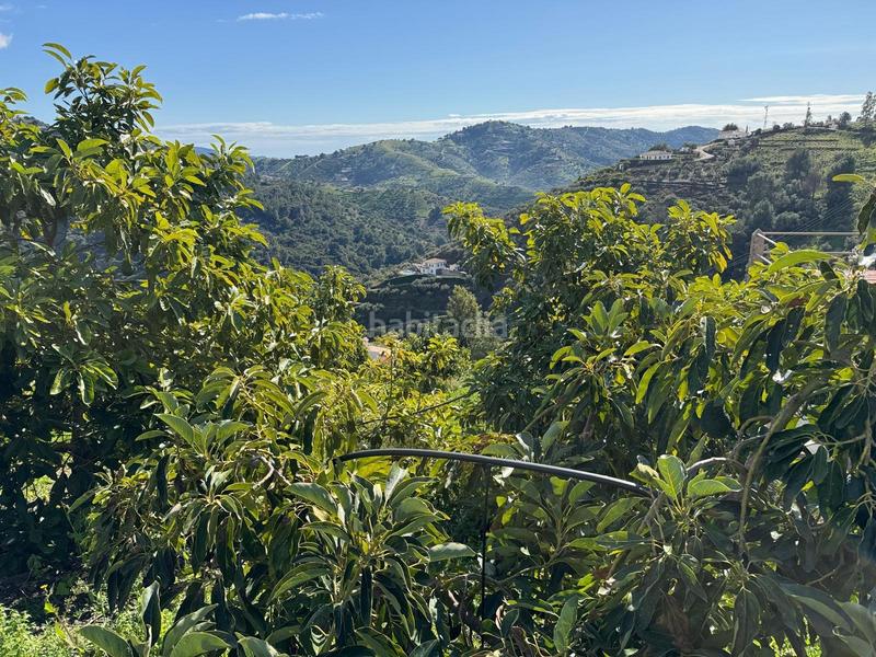 Foto 4fa75b5c-be7d-432b-a604-728bb0a19fd2. Finca rústica finca en Cómpeta