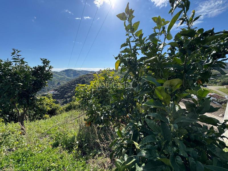 Foto 57ac61f6-437b-41b1-a25d-fc3bd7ec5ac8. Finca rústica finca en Cómpeta