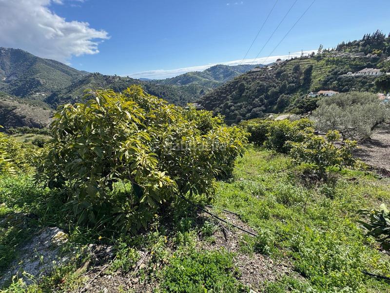 Foto 6583915c-298f-447c-ac00-86c509e2d5ca. Finca rústica finca en Cómpeta