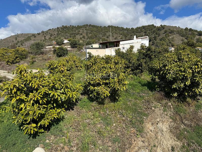 Foto 86f24c1a-762d-494c-a7fe-532c2ba5ea47. Finca rústica finca en Cómpeta