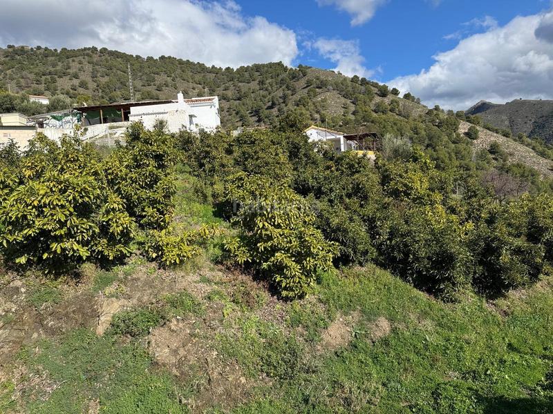 Foto 9929b11f-2230-4d86-bb85-6dbd8784b55a. Finca rústica finca en Cómpeta