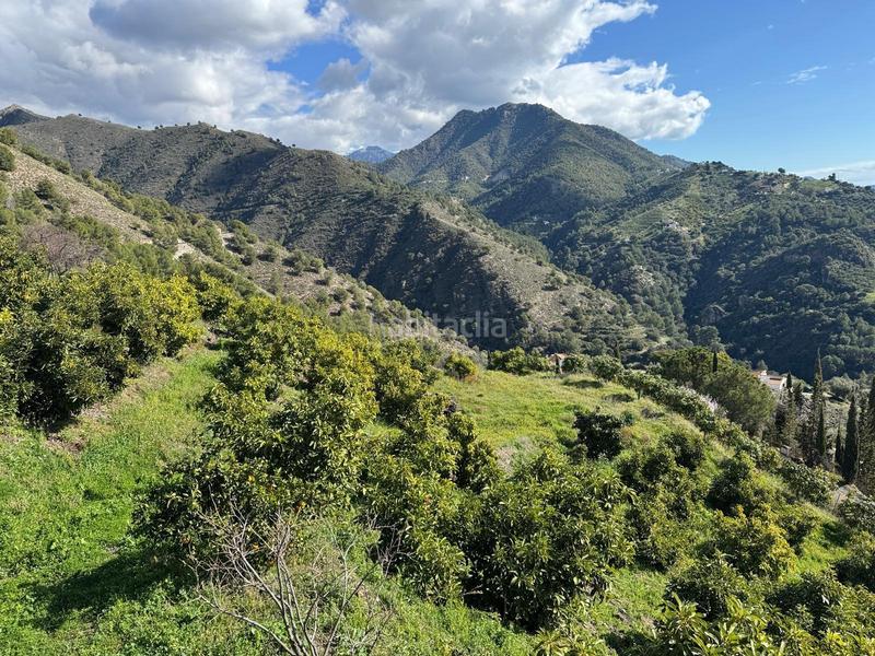 Foto 9960a3dc-ee7a-47c8-aa44-0dccd93d37a4. Finca rústica finca en Cómpeta