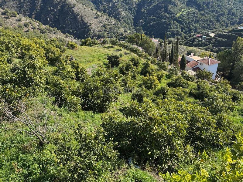 Foto b4e7450b-a790-4c2a-9bda-b965429fe34f. Finca rústica finca en Cómpeta