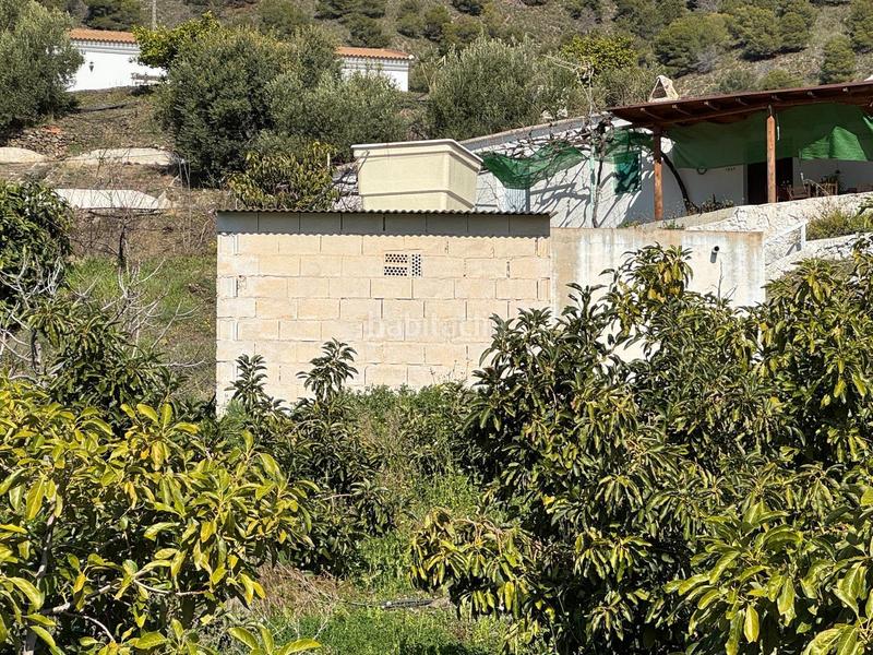 Foto d67c2d0e-eee7-4f8d-99de-da23ff6a0c9d. Finca rústica finca en Cómpeta