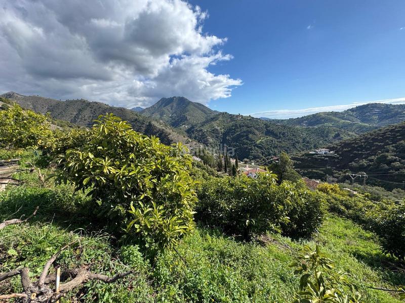 Foto eee56811-b49a-42fd-97fd-204bfd720160. Finca rústica finca en Cómpeta