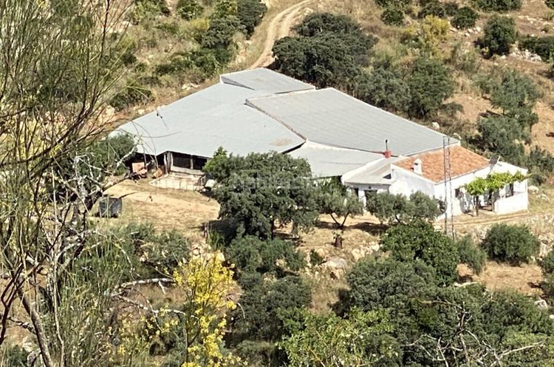 Foto 04610470-f752-4b5e-8d24-bcd576e67980. Terrain résidentiel dans Ardales