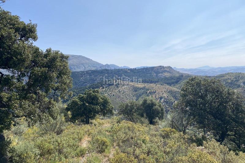 Foto 08dd2407-7aec-4ae9-b8d4-a6337129694a. Terrain résidentiel dans Ardales