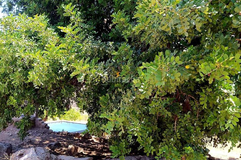 Foto 0d9ed508-4d6d-4e2f-b42b-3120b6578d03. Terrain résidentiel dans Ardales