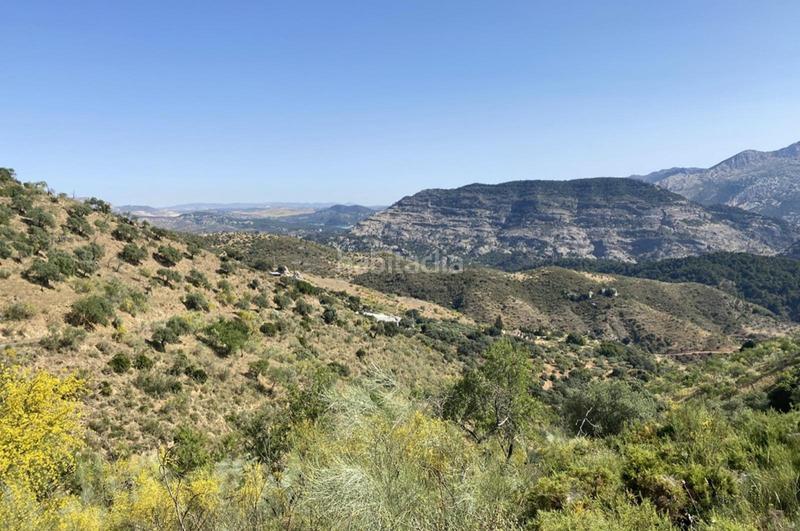 Foto 180b412b-5dd9-43b3-8b6c-ee4ad5da166a. Terrain résidentiel dans Ardales