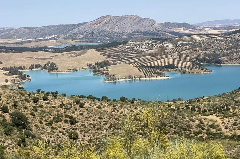 Foto 3352f010-33b4-40fb-b522-b4d3d4d7d989. Terrain résidentiel dans Ardales