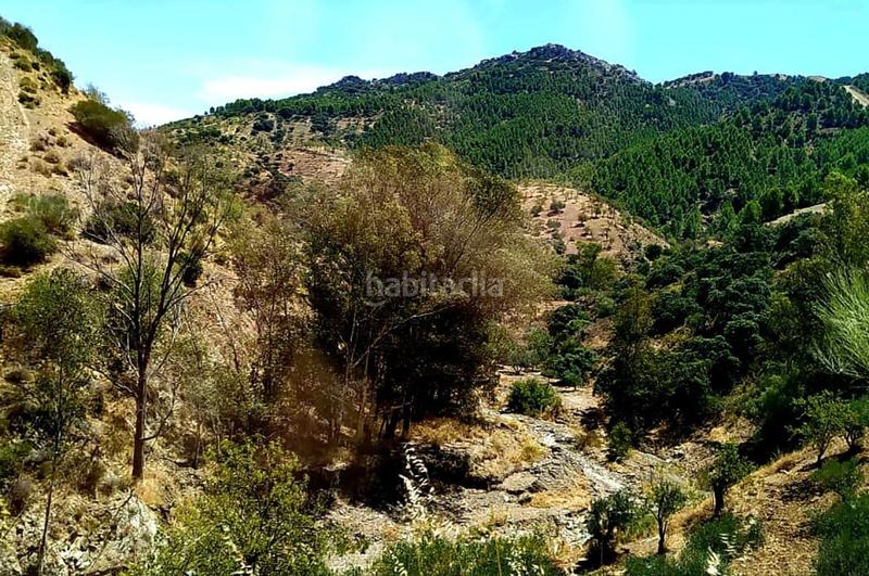 Foto 46093888-e4be-4887-bd0b-1a5f056e193a. Terrain résidentiel dans Ardales