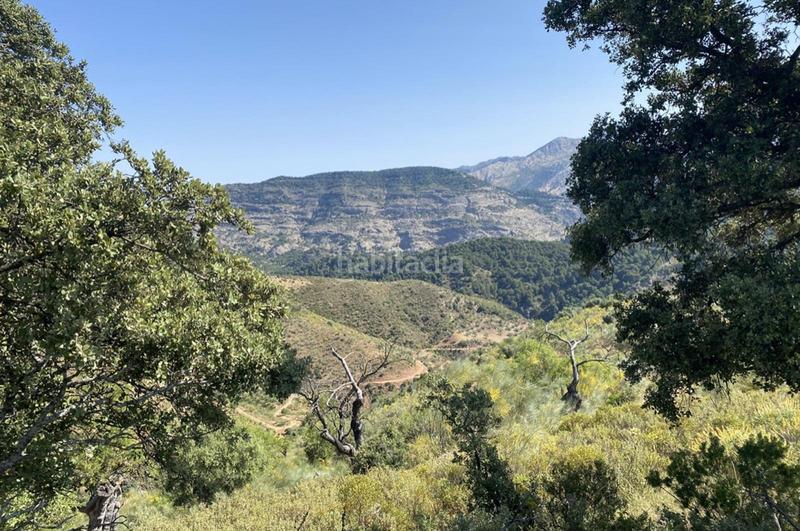 Foto 500cb8df-7a0b-4fd0-8989-b35342af3a06. Terrain résidentiel dans Ardales