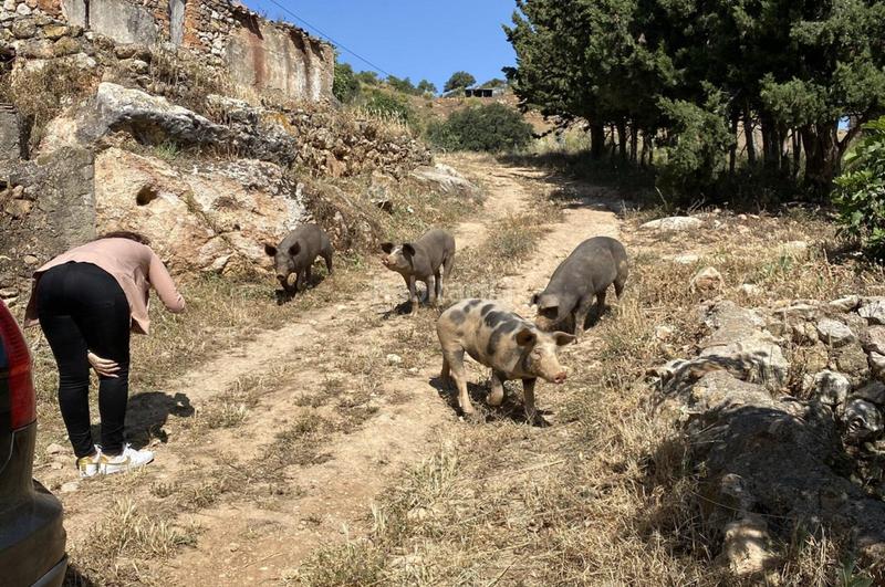 Foto 5856274f-a9e6-44c0-bcbf-da60daebc382. Terrain résidentiel dans Ardales