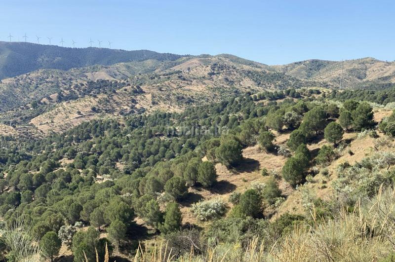 Foto 5d80a5af-8747-4f0b-98cc-e9996e0ca4cd. Terrain résidentiel dans Ardales