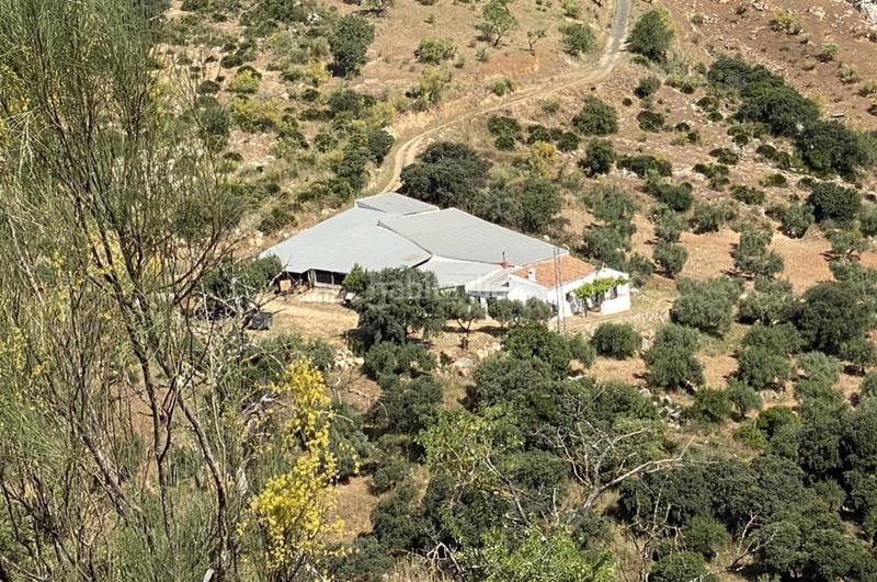 Foto 76002c5b-517a-429c-9f8f-3c709af9ed0d. Terrain résidentiel dans Ardales