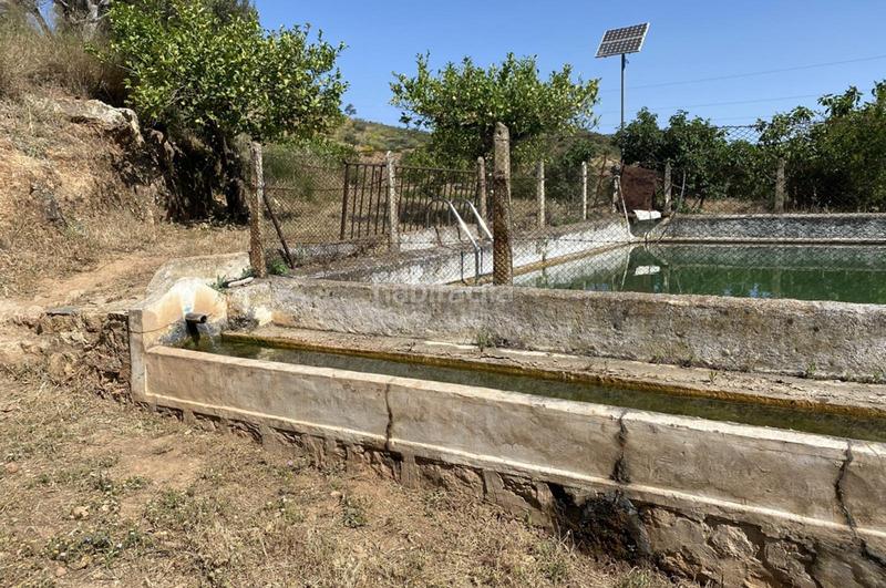 Foto 79dac959-9f75-49d1-bf41-df5d2658f30a. Terrain résidentiel dans Ardales