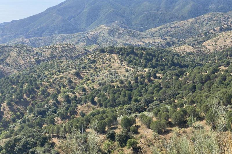 Foto 8ac7c218-2bc3-41f0-b1ff-1b4071b43970. Terrain résidentiel dans Ardales