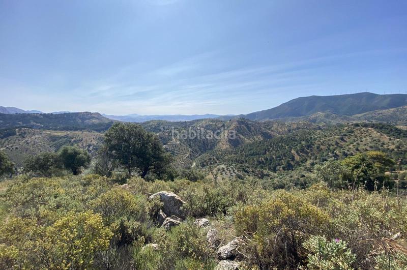 Foto 8e87e1d1-8f32-4a49-a718-10a772bc8997. Terrain résidentiel dans Ardales