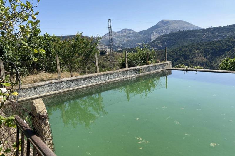 Foto 9ee0f6a4-454d-443a-b6e7-b178ad882d2e. Terrain résidentiel dans Ardales