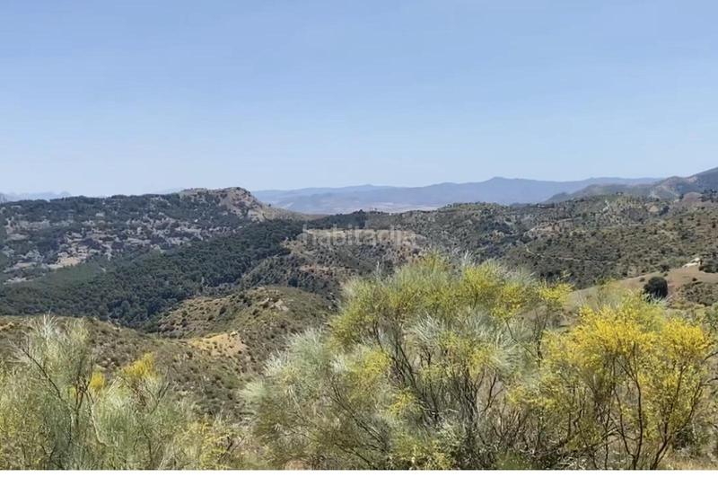 Foto a979f614-b704-42d3-9c20-687dce5a979d. Terrain résidentiel dans Ardales