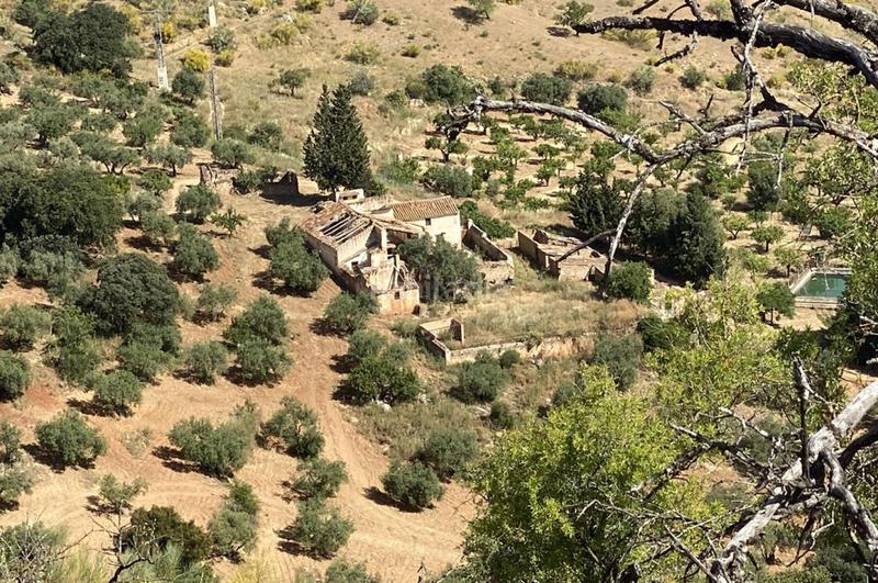 Foto ac6e3588-0d53-413d-9bb1-320bb82b2e96. Terrain résidentiel dans Ardales