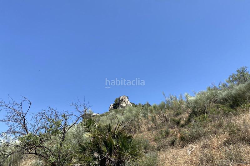 Foto c43e5552-1262-4841-8a7a-91e5d8809180. Terrain résidentiel dans Ardales